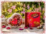 Treat Chokolate